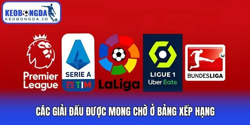 Các giải đấu được mong chờ ở bảng xếp hạng