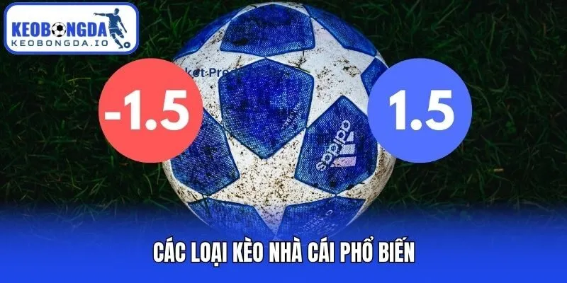 Kèo Nhà Cái 2 Các loại kèo nhà cái phổ biến