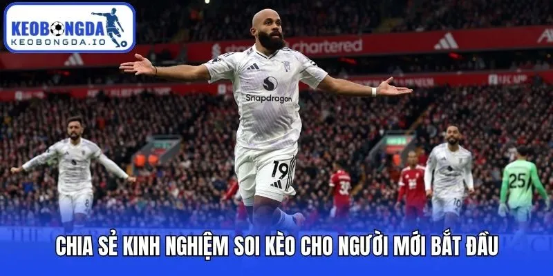 Chia sẻ kinh nghiệm soi kèo cho người mới bắt đầu