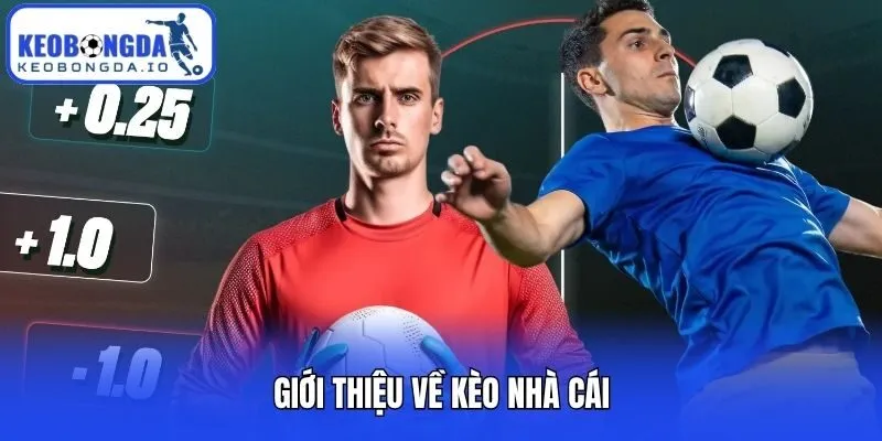 Kèo Nhà Cái 1 Giới thiệu về kèo nhà cái