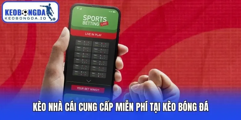 Kèo Nhà Cái 3 Kèo nhà cái cung cấp miễn phí tại Kèo Bóng Đá