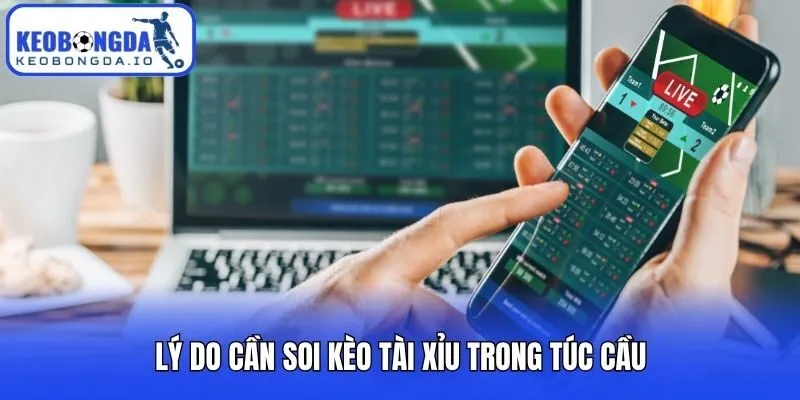 Soi Kèo Tài Xỉu - Cách Cá Độ Bóng Đá Siêu Chuẩn Cho Newbie 1 Lý do cần soi kèo tài xỉu trong túc cầu