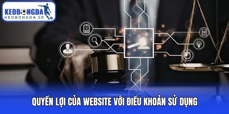 Điều Khoản Sử Dụng 3 Quyền lợi của website với điều khoản sử dụng