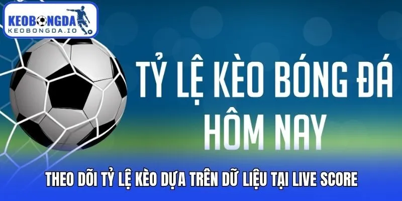 Theo dõi tỷ lệ kèo dựa trên dữ liệu tại Live Score